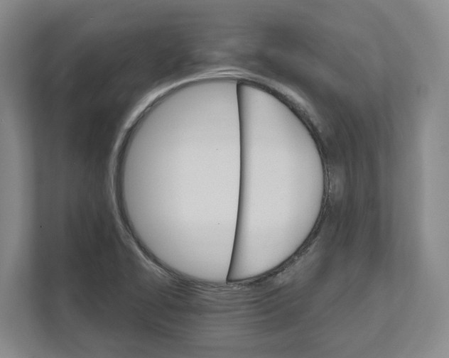 X0000111821414200908201121