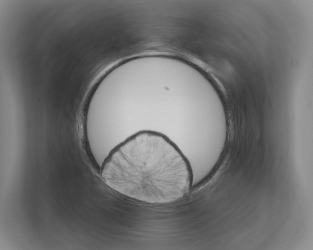 X0000111821415200908201121