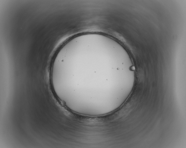 X0000111821416200908201121