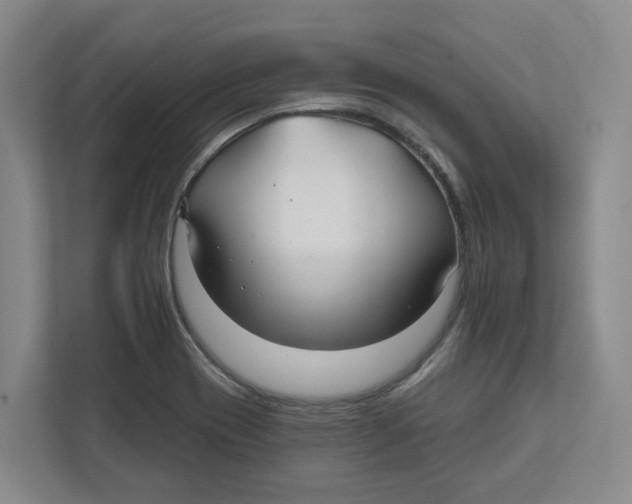 X0000111821417200908201121