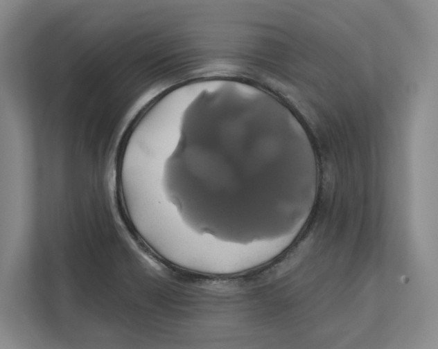 X0000111821418200908201121