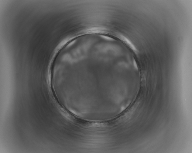 X0000111821419200908201121