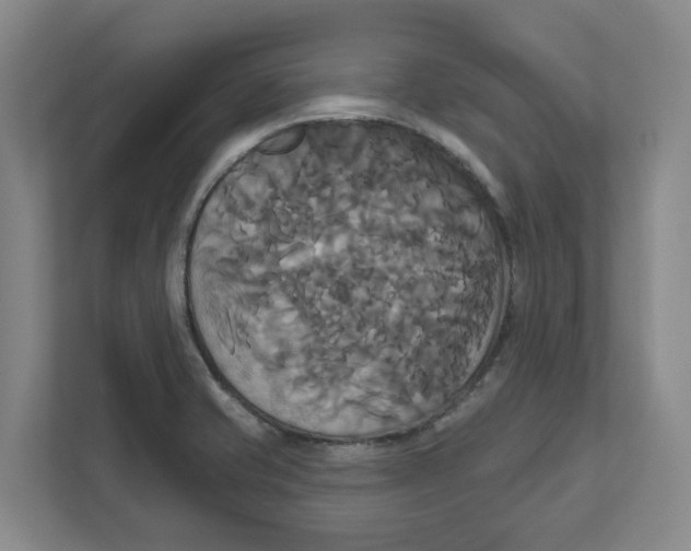 X0000111821421200908201121