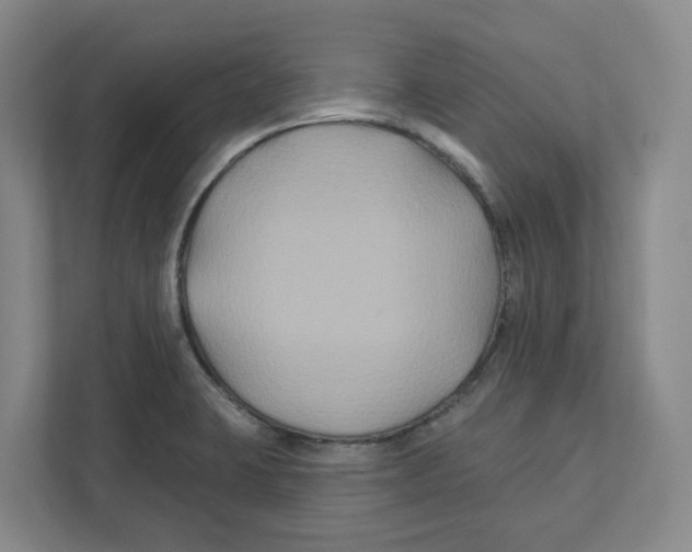 X0000111821423200908201121