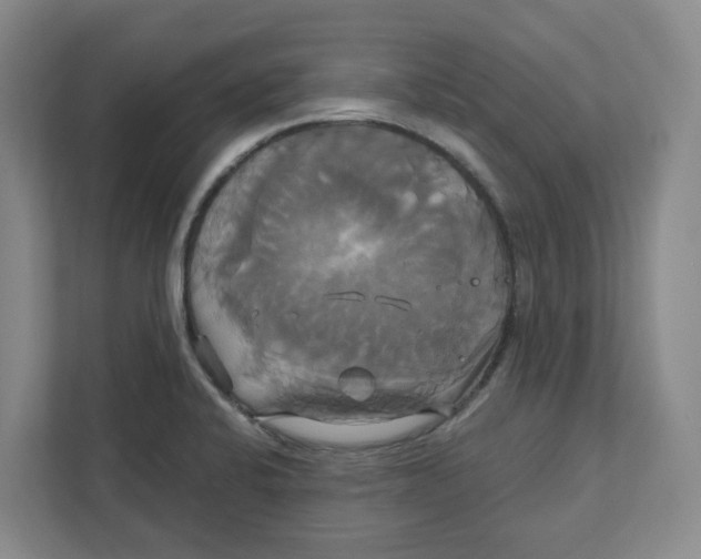 X0000111821424200908201121