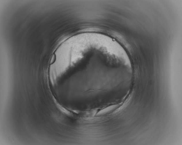 X0000111821425200908201121