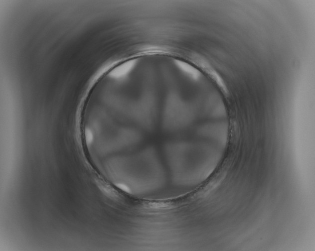 X0000111821427200908201122