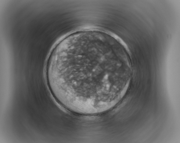 X0000111821429200908201122