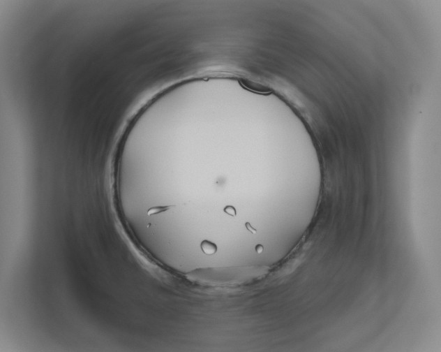 X0000111821430200908201122