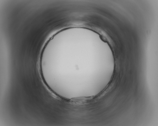 X0000111821432200908201122