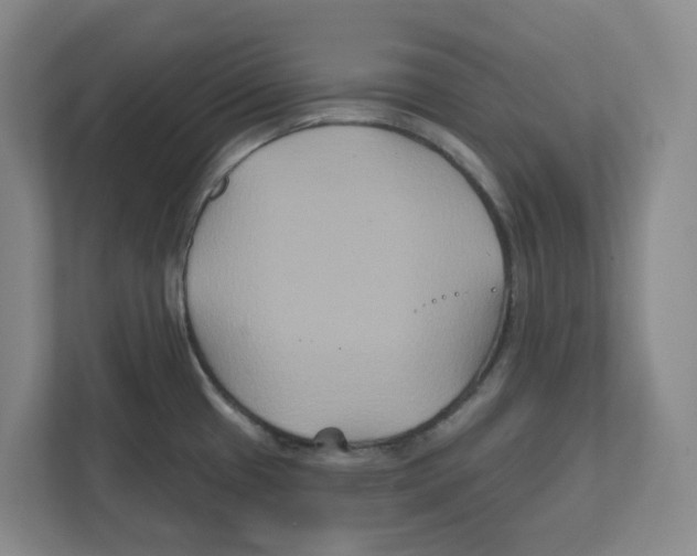 X0000111821433200908201122