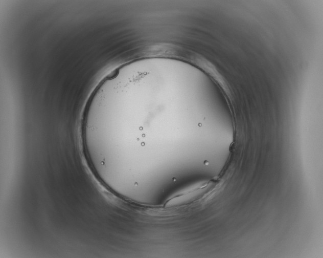 X0000111821434200908201122