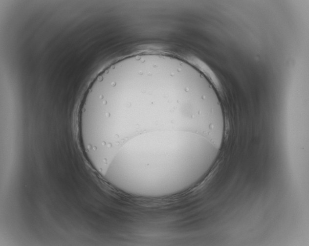 X0000111821435200908201122