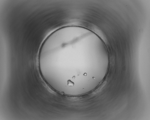 X0000111821436200908201122