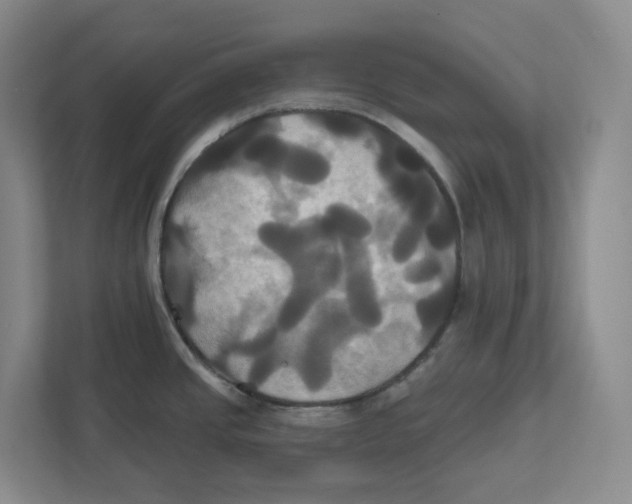 X0000111821437200908201122