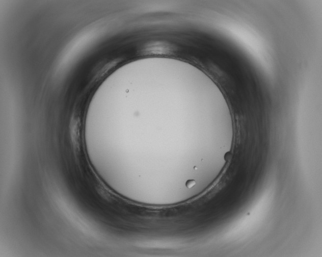 X0000111821438200908201122