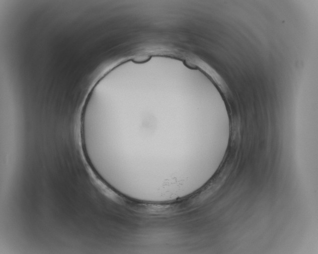 X0000111821439200908201122