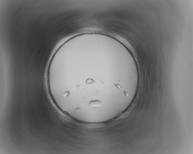 X0000111821440200908201122