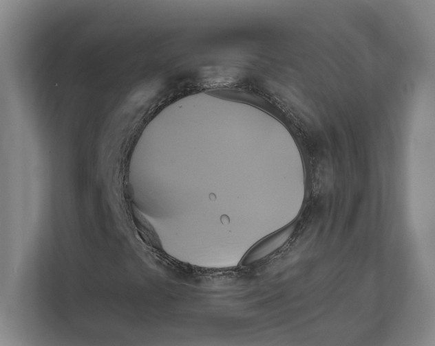 X0000111821441200908201121