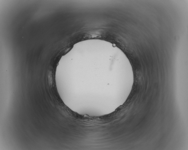 X0000111821442200908201121