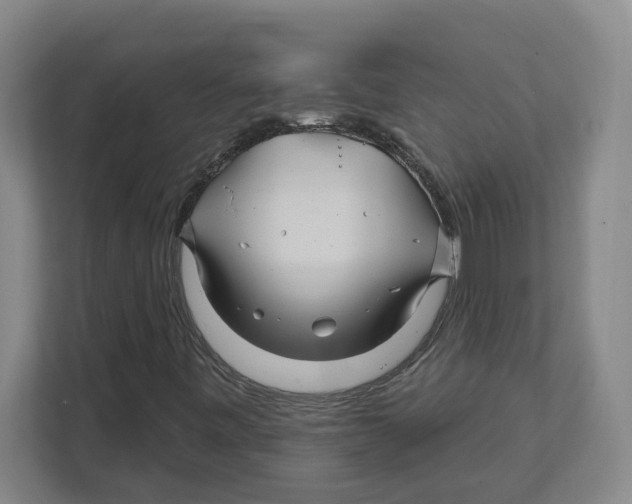 X0000111821443200908201121