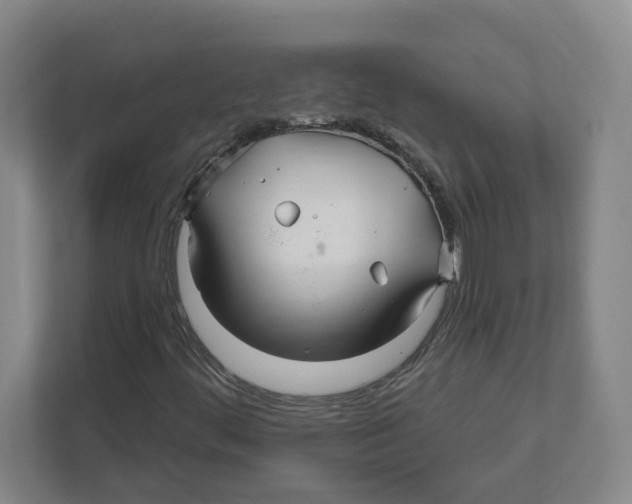 X0000111821444200908201121