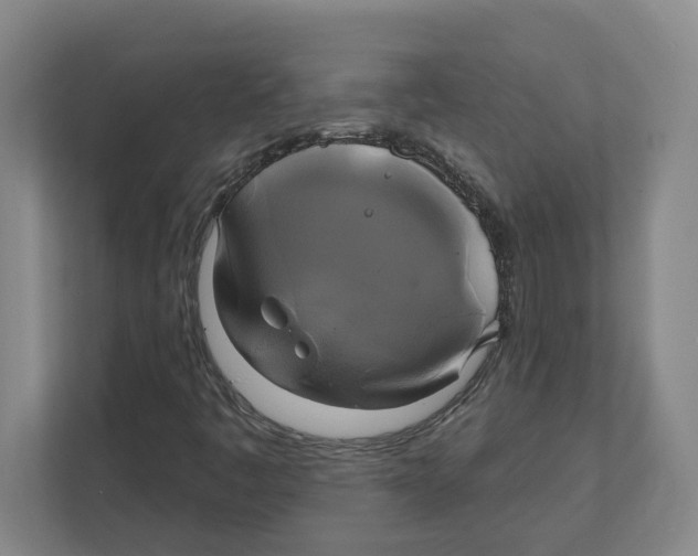 X0000111821445200908201121