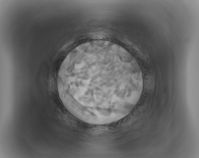 X0000111821446200908201121