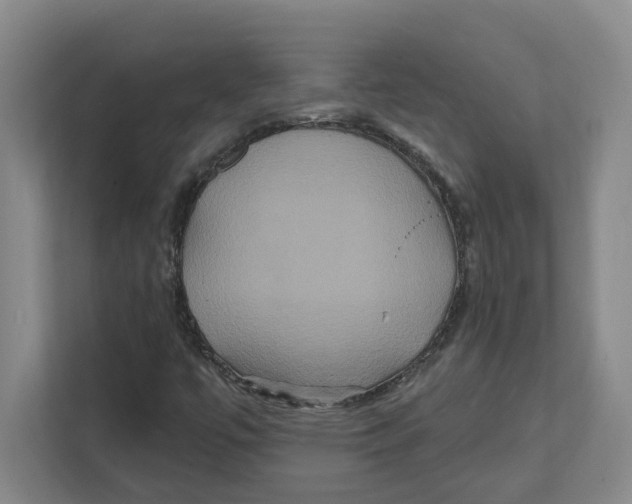 X0000111821447200908201121