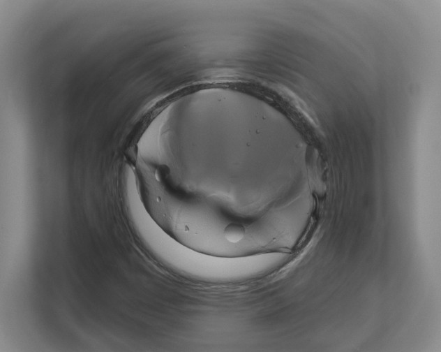 X0000111821449200908201121