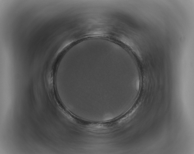 X0000111821450200908201121