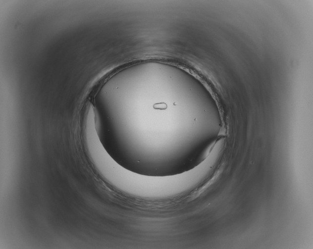 X0000111821453200908201121