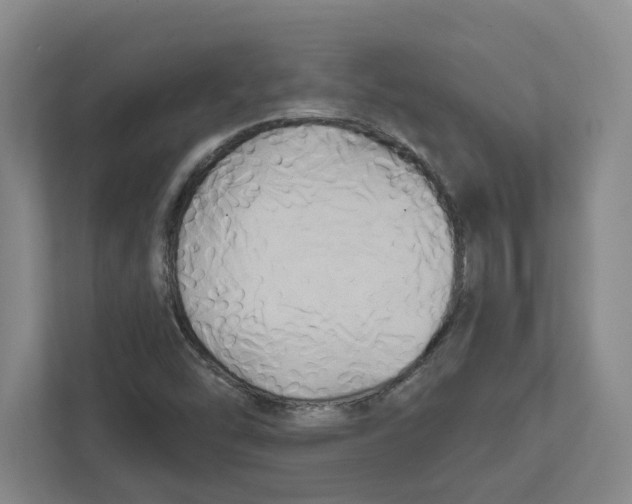 X0000111821454200908201121