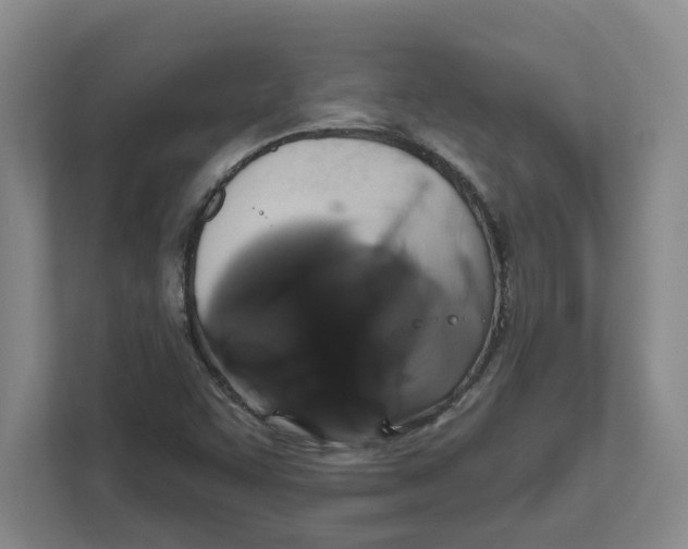 X0000111821455200908201121