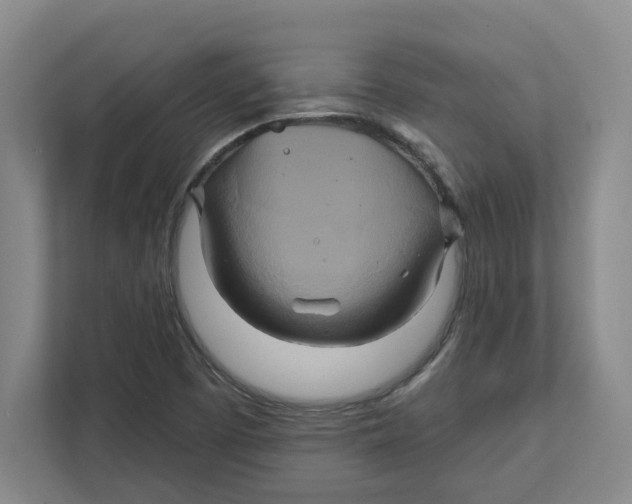 X0000111821457200908201121