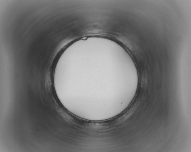 X0000111821458200908201121