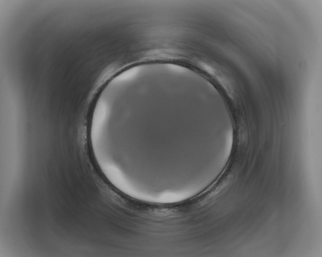 X0000111821459200908201121