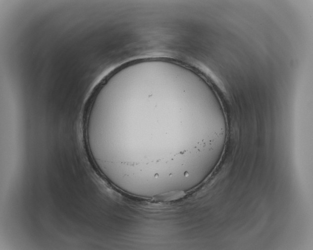 X0000111821460200908201121