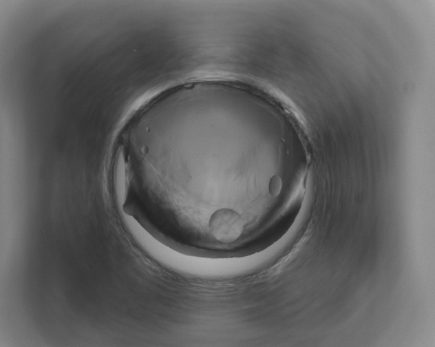 X0000111821461200908201121