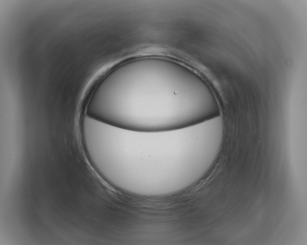 X0000111821464200908201121