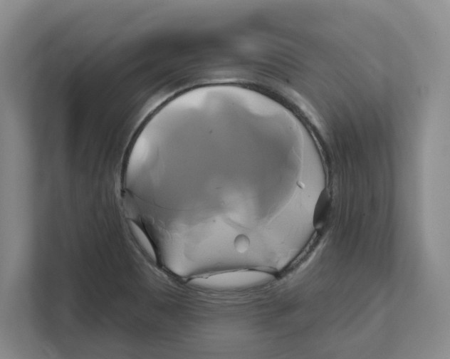 X0000111821465200908201121