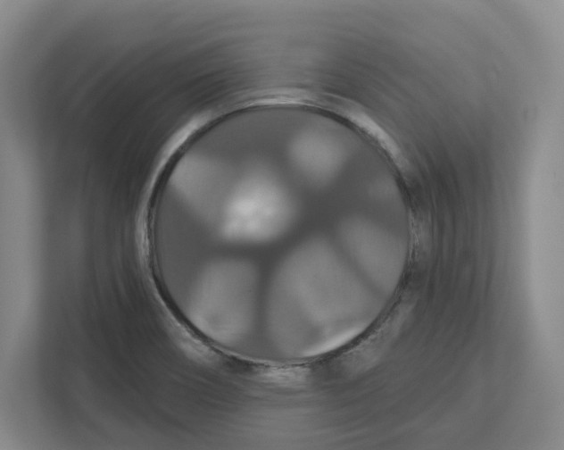 X0000111821466200908201121