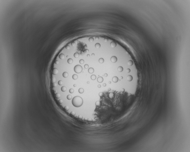 X0000111821467200908201121