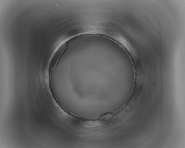 X0000111821468200908201121