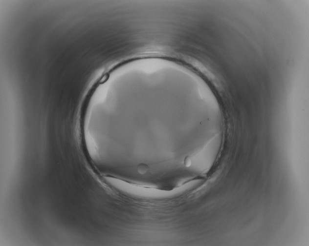 X0000111821469200908201121