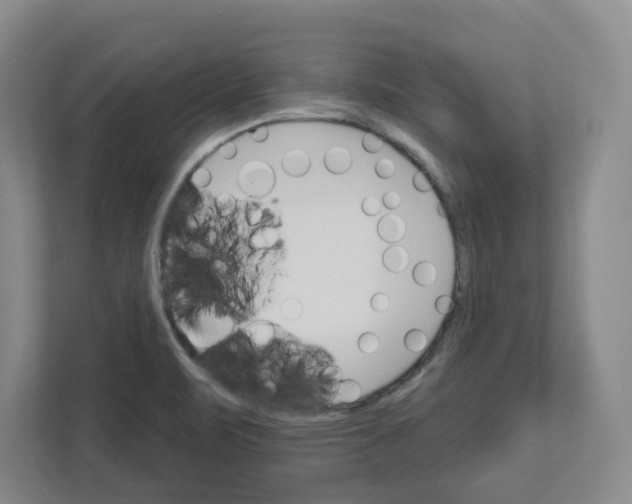 X0000111821471200908201121