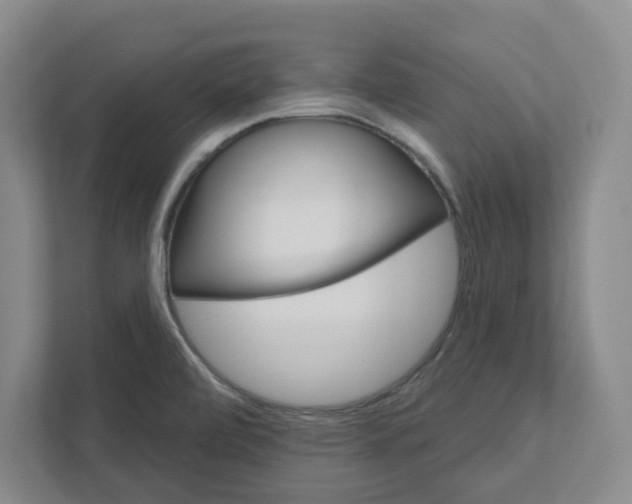 X0000111821472200908201121