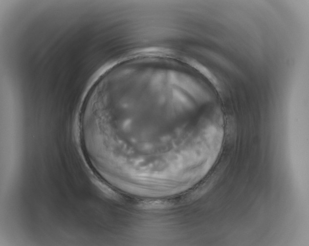 X0000111821474200908201121