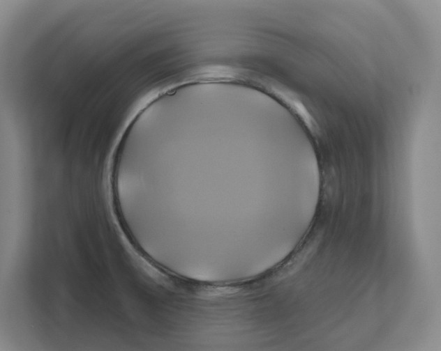 X0000111821475200908201121