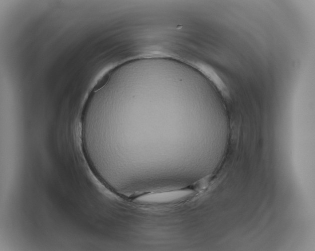 X0000111821476200908201121